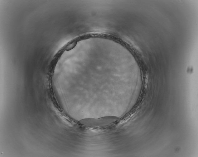 X0000091541208200709141449