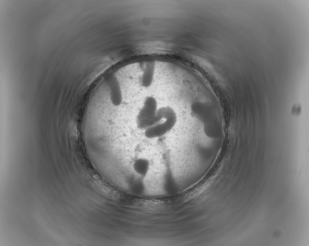 X0000091541209200709141449