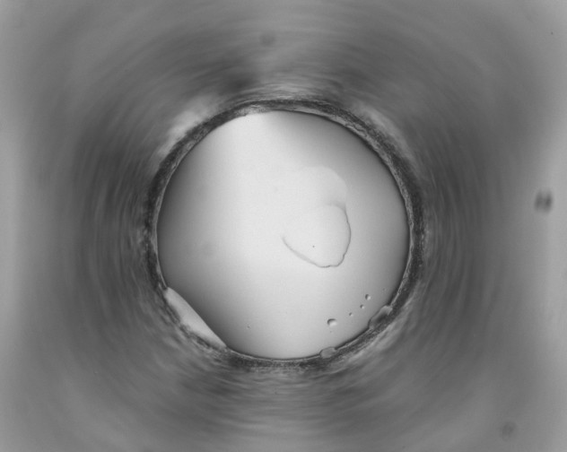 X0000091541210200709141449