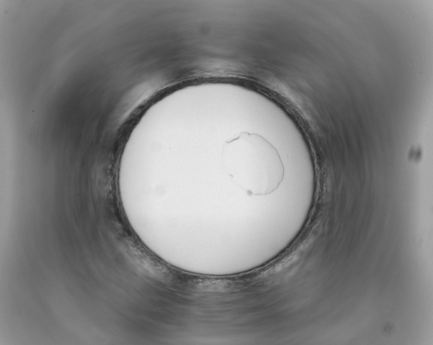 X0000091541211200709141449