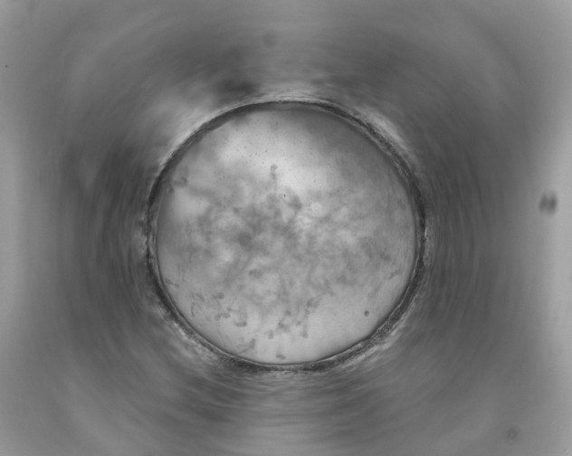 X0000091541212200709141449