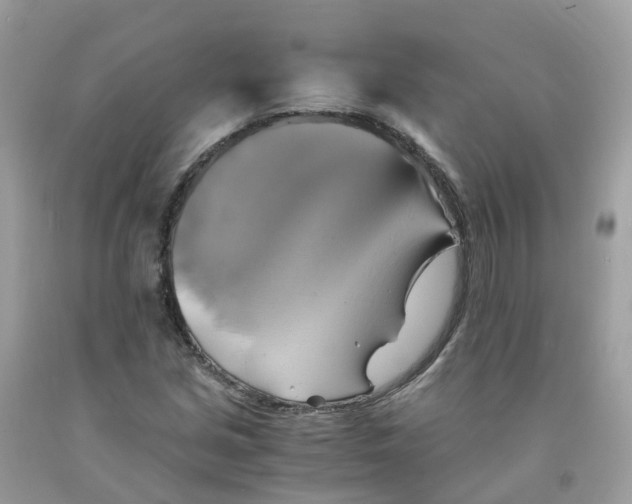 X0000091541213200709141449