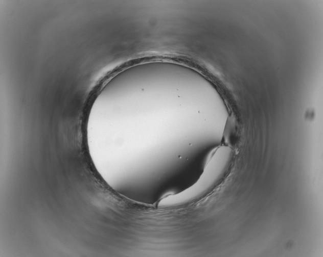 X0000091541214200709141449