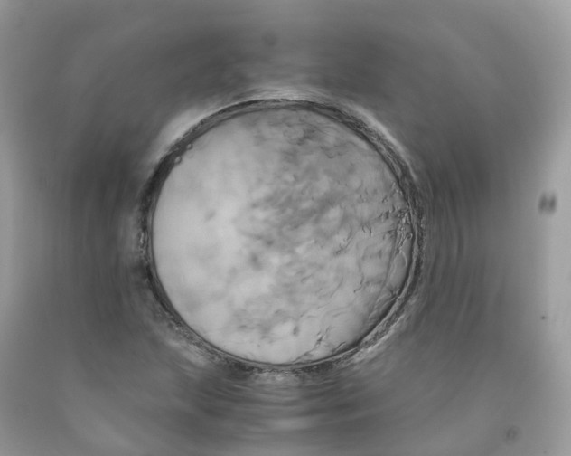 X0000091541215200709141449