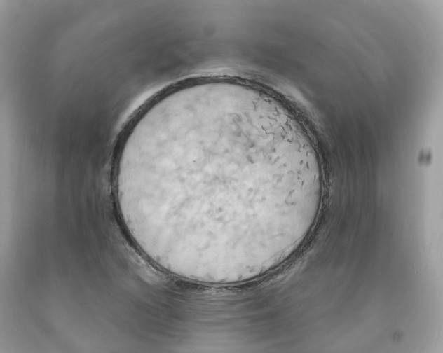 X0000091541216200709141449