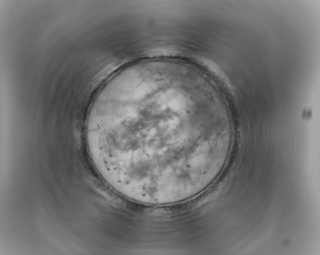 X0000091541217200709141449