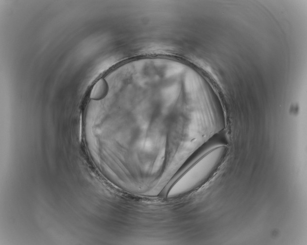 X0000091541219200709141449