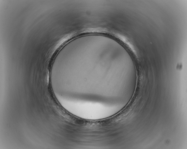 X0000091541221200709141449