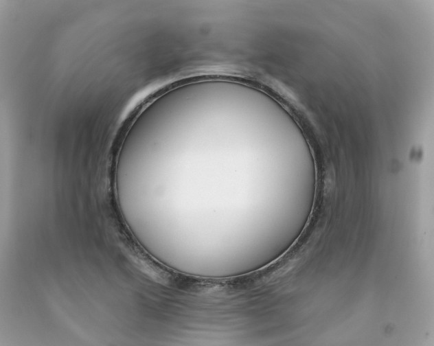 X0000091541222200709141449