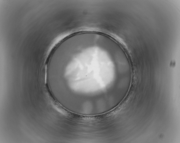 X0000091541223200709141449