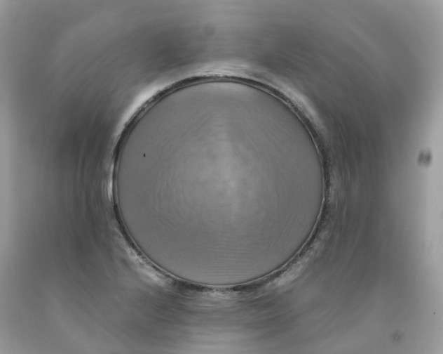 X0000091541224200709141449