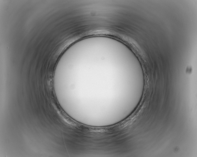 X0000091541225200709141449