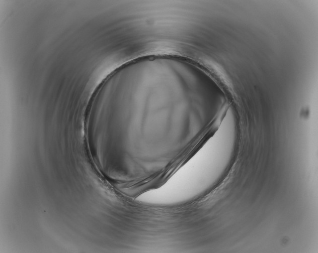 X0000091541226200709141449