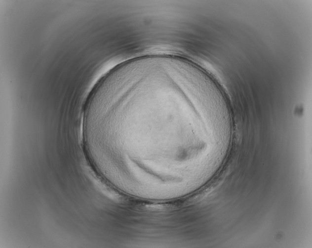 X0000091541227200709141449