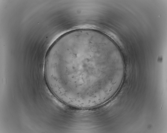 X0000091541228200709141449