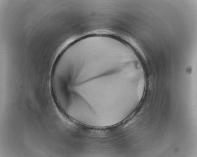 X0000091541229200709141449