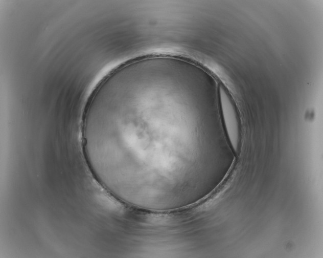 X0000091541232200709141449