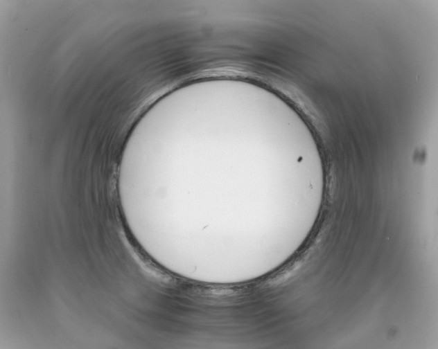 X0000091541233200709141449