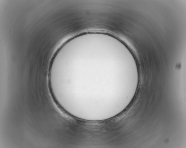 X0000091541237200709141449