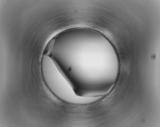 X0000091541238200709141449