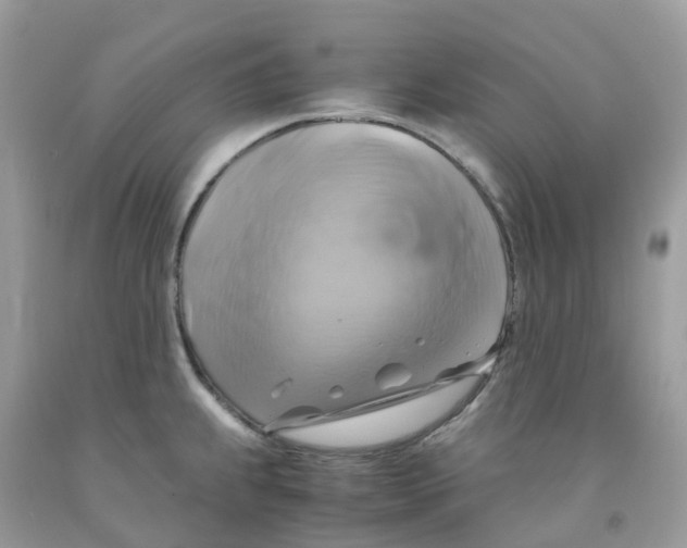 X0000091541239200709141449