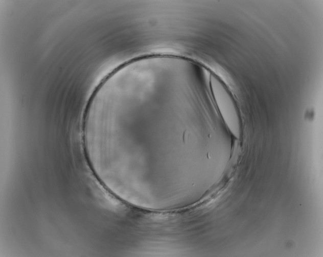 X0000091541240200709141449