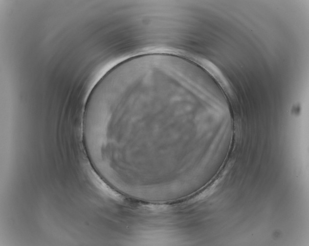 X0000091541244200709141449