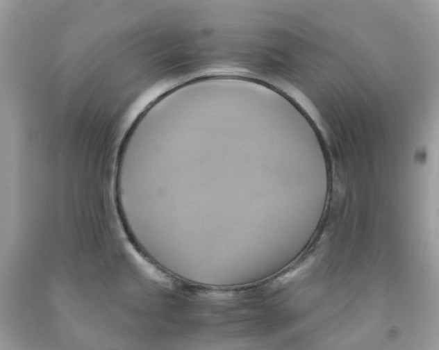 X0000091541245200709141449