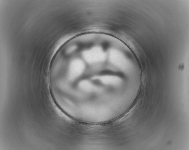 X0000091541247200709141449