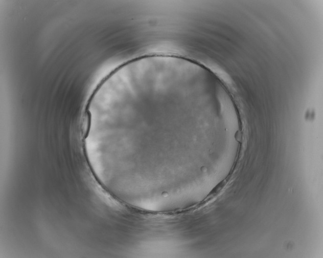 X0000091541248200709141449