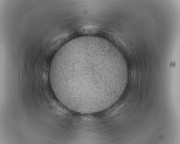 X0000091541250200709141449