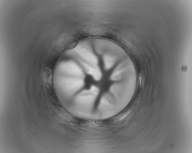 X0000091541251200709141449