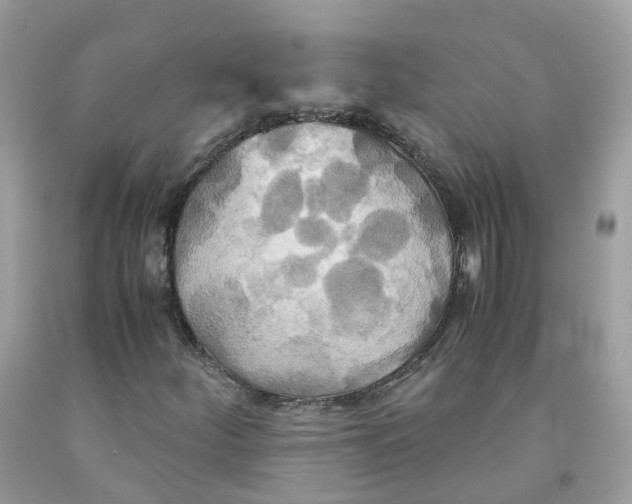 X0000091541252200709141449