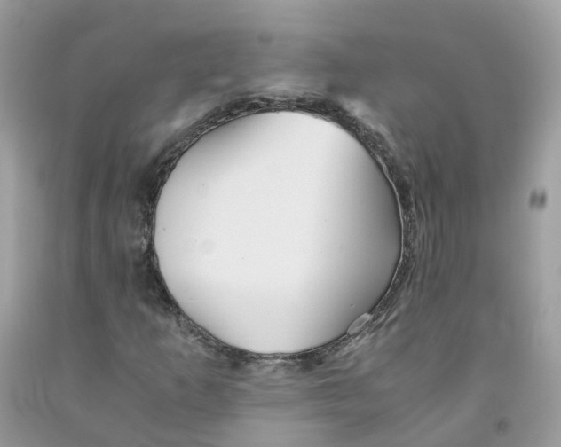 X0000091541253200709141449