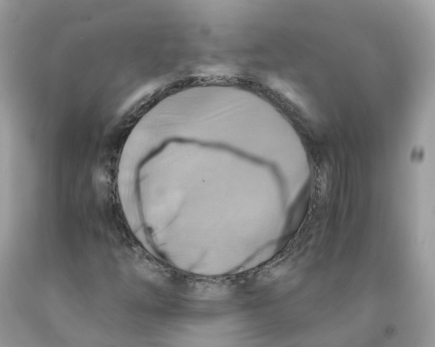 X0000091541254200709141449