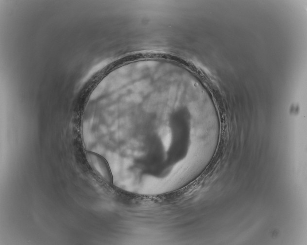 X0000091541255200709141449