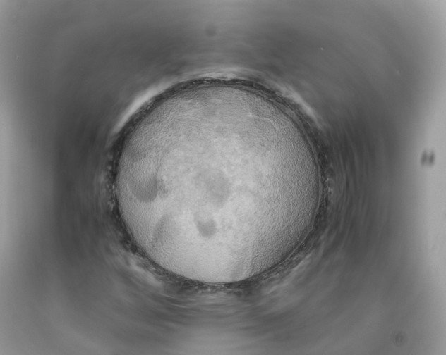 X0000091541256200709141449