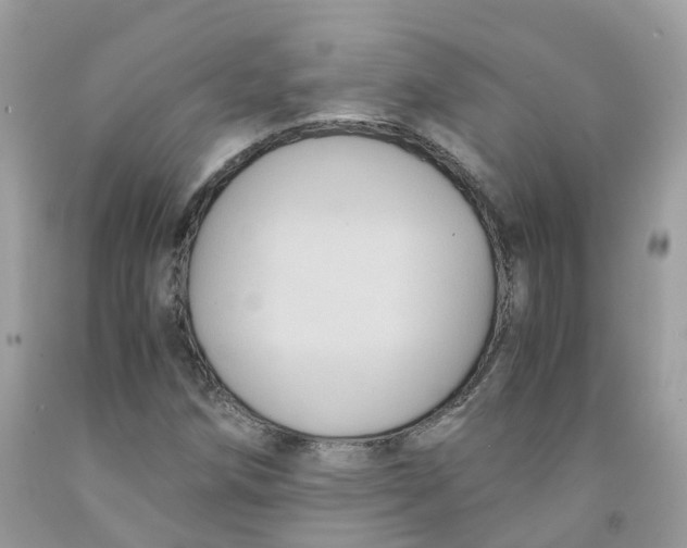 X0000091541258200709141449