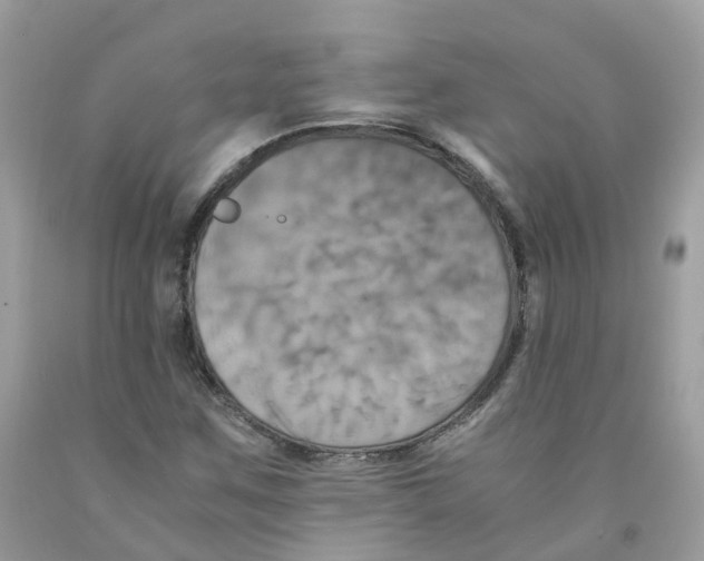 X0000091541259200709141449