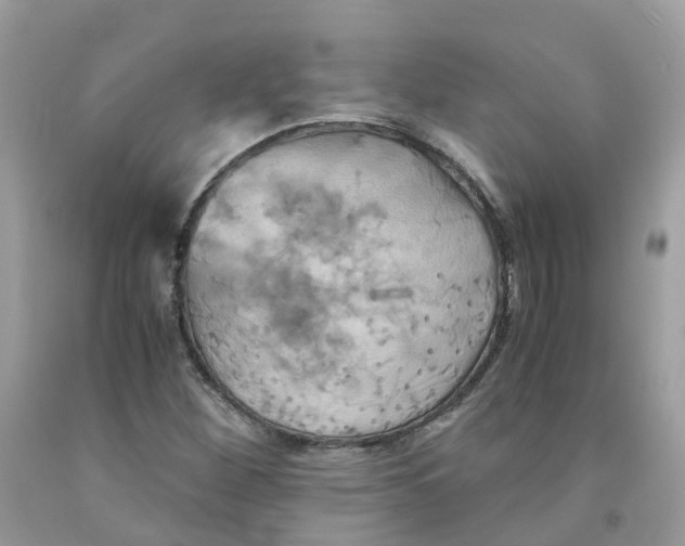 X0000091541260200709141449