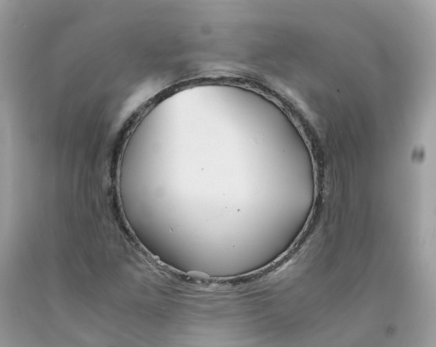 X0000091541261200709141449