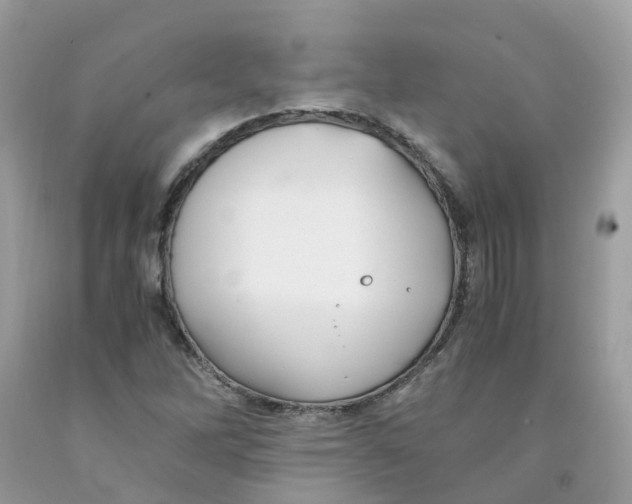 X0000091541262200709141449