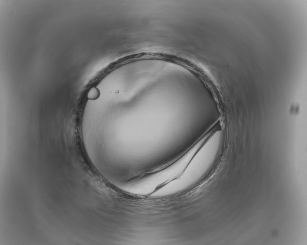 X0000091541263200709141449