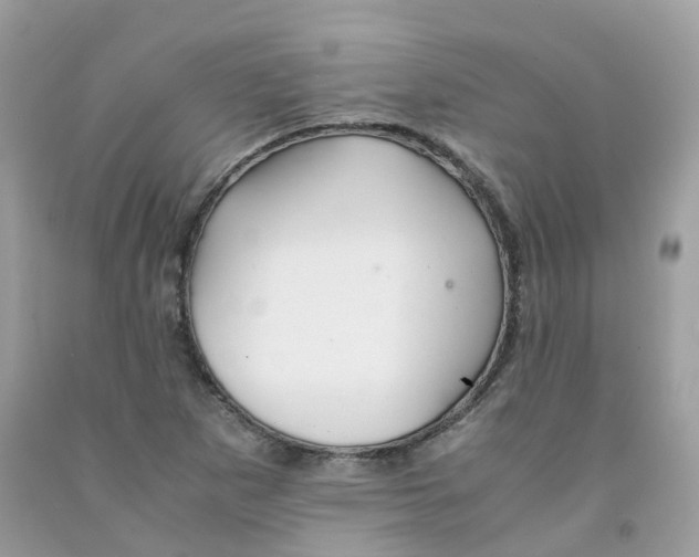 X0000091541265200709141449