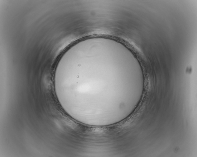 X0000091541266200709141449