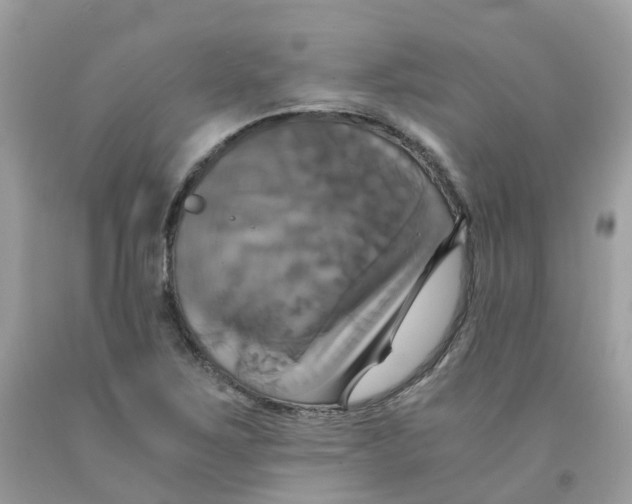 X0000091541267200709141449