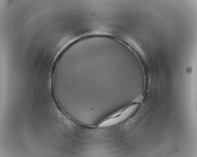 X0000091541268200709141449