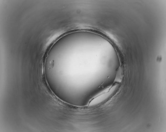 X0000091541269200709141449