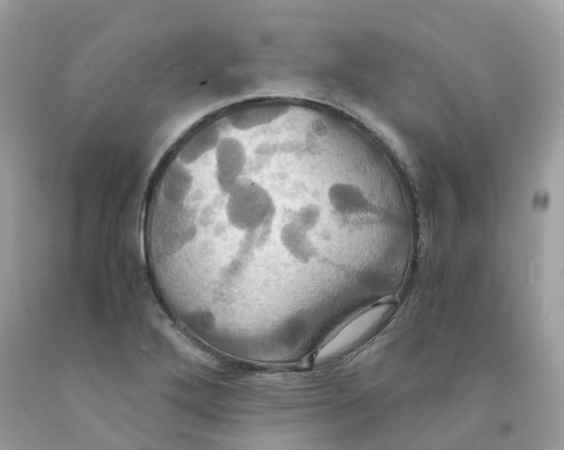 X0000091541272200709141449