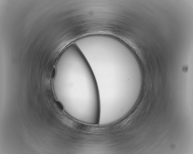 X0000091541273200709141449